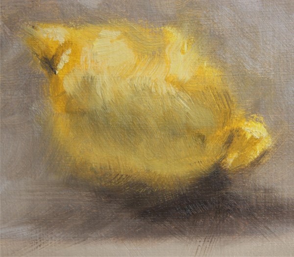 Lemon 2 (600 x 524)
